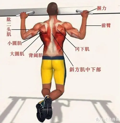 6P推挽电子管功率放大器在低频和高频响应方面有什么特点? 6P推挽电子管功率放大器在低频和高频响应方面有什么特点?